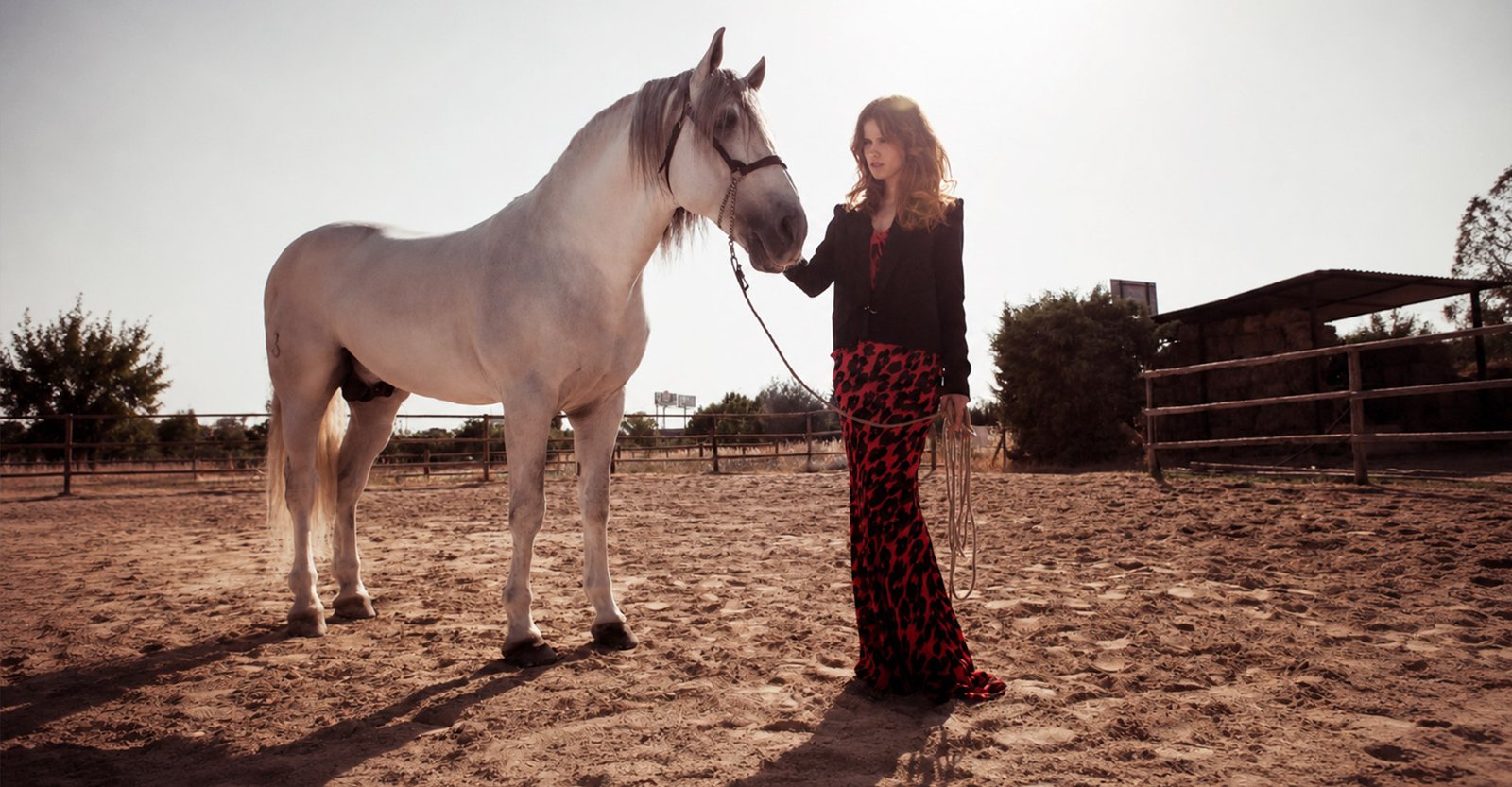 fotografia moda mujer con caballo al amanecer
