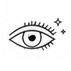 icon eye